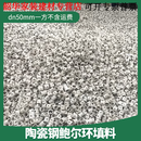 驰翁陶瓷鲍尔环填料废气塔冷却反应喷淋洗涤脱硫塔化工填料耐高耐腐 dn50mm一方不含运