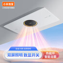小米地宝系列浴霸暖风照明排气卫生间厕所一体集成吊顶超薄热能环换气扇机 触屏开关