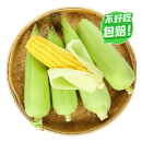 【产地直采】黄粒甜玉米约800g