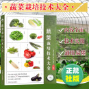 蔬菜栽培技术大全 蔬菜种植技巧 栽培技术知识 中国农业出版社 正版保证