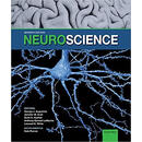 【3-6周达】Neuroscience 7th Edition