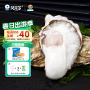 贝司令【鲜活】乳山生蚝海鲜特产贝类牡蛎烧烤2XL净重4斤 13-17只礼盒装