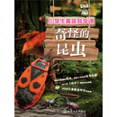 小学生趣味科学课奇怪的昆虫