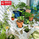爱丽思（IRIS）花架塑料露台台阶花盆架子园艺用品阳台种菜盆支架花架落地式 FS-900灰三层宽90*高60*进深54
