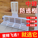 潮鸣（CHAOMING）SMVP中蜂防逃框多功能蜜蜂箱巢门塑料隔王板蜂王防跑片 20防逃框+20王笼(+钉)