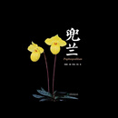 兜兰 郑宝强//王雁//邓克云//律江 兜兰 无规格