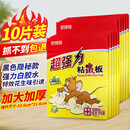 楚婕雅强力粘鼠板10片老鼠贴超强力粘板大号加厚灭鼠老鼠一窝端神器黏鼠