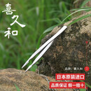 喜久和日本进口喜久和 园艺夹 不锈钢镊子盆景盆栽 叶芽摘 松叶夹 松针 喜久和3316尖头镊子