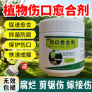 树木伤口愈合剂植物嫁接切口涂抹剂果树苗木花卉修剪封口胶促活液 【500g3瓶】常备无忧赠涂抹刷