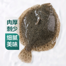 鲜活多宝鱼450-550g/条