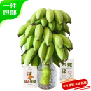 京鲜生 禁止蕉绿苹果蕉 净重7-8斤 带杆水培香蕉 新鲜水果 源头直发 