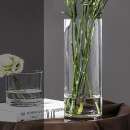 FOOJO 北欧玻璃花瓶 假花干花插花摆件 富贵竹水培植物透明花瓶花器 直筒30cm大号1只