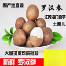 特产优联山东单县罗汉参 金丝吊葫芦海门细皮香芋香芋参【中果】500克