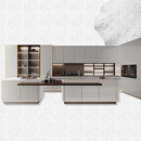 博洛尼博洛尼整体橱柜2024款橱柜未来之境玻璃门板定制订金