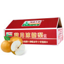 京鲜生 青青大地莱阳羊脂秋月梨4.5斤 6-8个梨子礼盒 水果