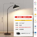 振牛落地灯氛围灯钓鱼灯2024新款客厅沙发现代简约创意沙发卧室床头 星耀黑【护眼Ra98】暖光 12W