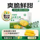 十月稻田 23年新玉米 水果玉米 1.76kg (8穗) 即食甜玉米棒 低脂 真空包装