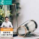 墨斗鱼玻璃花瓶北欧风轻奢描金边摆件插花大花瓶客厅植物仿真花水培22CM