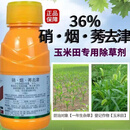 36%硝烟莠去津玉米苗后除草剂封闭禾本科阔叶一年生杂草封地农药 1套1亩地1瓶配一袋助剂 36%硝烟秀去津不伤玉米（20套）