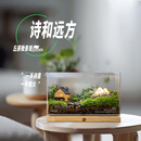 丘辰苔藓微景观生态瓶DIY办公室内桌面摆件造景绿植盆栽男女生日礼物 诗和远方（触摸式开关）