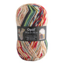 盛莲 Opal袜子线 进口袜纱弹力手工编织羊毛加厚毛线 有图解 2104 冬日珊瑚 100g/团