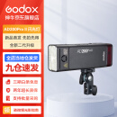 神牛（Godox）AD200pro/AD200proII闪光灯锂电池口袋便携外拍摄影补光灯单反相机高速TTL闪光灯 外拍闪光灯AD200proII【新增双色温造型灯】 官方标配