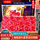 京地达海南黑金刚莲雾净重5斤礼盒装单果130g起新鲜水果源头直发包邮
