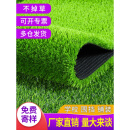 龙流墨仿草坪地毯人造塑料垫幼儿园足球场绿色装饰假绿植人工绿草皮仿真 2厘米无背胶的2000平米