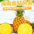自然搭档海南金钻凤梨 酸甜多汁 热带新鲜水果生鲜 净重4.5-5斤装（2-3个）