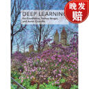 现货 深度学习 Deep Learning