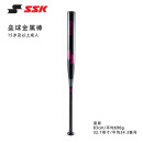 SSK日本垒球棒铝合金快垒慢垒金属训练比赛儿童青少年装备 32.7英寸 83cm690g黑紫