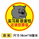 山头林村实习车贴搞笑恶搞蕉太狼贴鞠躬磁性贴标汽车女司机新手上路让让我 实习-蕉太狼还请您原谅【胶