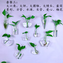 丛一楼墙壁花盆创意墙上挂壁挂墙花盆绿萝墙壁挂件悬挂式水培玻璃花瓶墙 套餐三+配件(不含植物) 透明