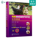鸡病类症鉴别与诊治彩色图谱