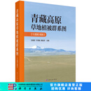 青藏高原草地植被群系图（1:500 000）