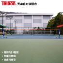 天龙（Teloon）网架网羽2合1不锈钢可调节升降家用标准户外便携式羽毛球网架 网羽2合1网架6米