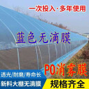 po膜蓝色无滴膜透明塑料薄膜农用保温暖消雾塑料布加厚蔬菜大棚膜 定制10S膜10米宽X120米长 10X120