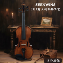 圣维斯（SEENWINS）SEENWINS圣维斯SW100手工实木小提琴初学者儿童考级入门成人初学 SEENWINS SW100 4/4 身高150以上