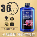 YEE硝化细菌鱼缸净水剂养鱼水质稳定净化水族鱼药消毒消化活菌300ml 
