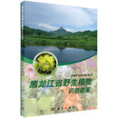[按需印刷]黑龙江省野生植物识别图鉴 科学出版社