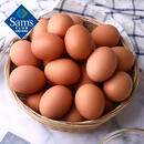 精选鲜鸡蛋  1.5kg 1.5kg