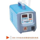 点缤雷诺国标300A100无极双向快速充电机汽车电瓶充电器12v24v纯铜电 300A全自动智能快速充电机
