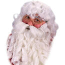 Fun World Costumes 男士豪华圣诞老人假发 One Size