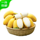 京鲜生 苹果蕉 净重3斤 约13-17根  新鲜水果 源头直发