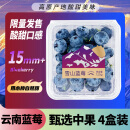 京鲜生 云南蓝莓 4盒礼盒装 约125g/盒 新鲜水果礼盒 源头直发 包邮
