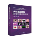 多模态皮肤病医学影像诊断图谱 孟如松崔勇主编 2021年1月参考书