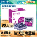 佳沃（joyvio）云南当季蓝莓14mm+ 12盒原箱 约125g/盒 生鲜水果