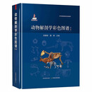 动物解剖学彩色图谱(第2版) 陈耀星,曹静 中农业出版社