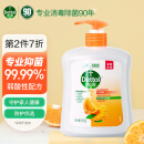 滴露（Dettol）健康抑菌洗手液柑橘500g瓶 消毒抑菌 儿童家庭补充装替换清爽去油