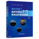 整体思路下超声可视化针刀精准治疗肌骨疾病（上册）